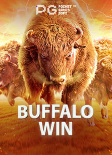 วิธีเล่น queen of bounty pg สำหรับมือใหม่